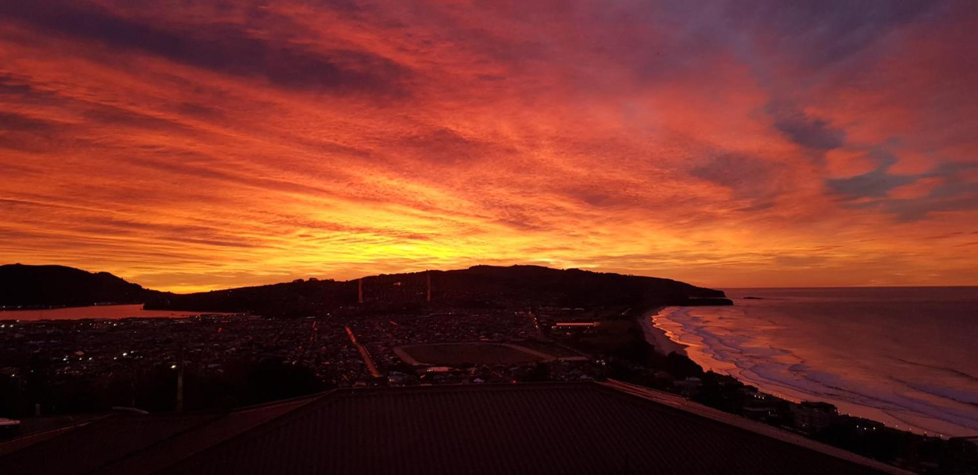 Rosemount B&B By The Sea St Clair Dunedin Ngoại thất bức ảnh