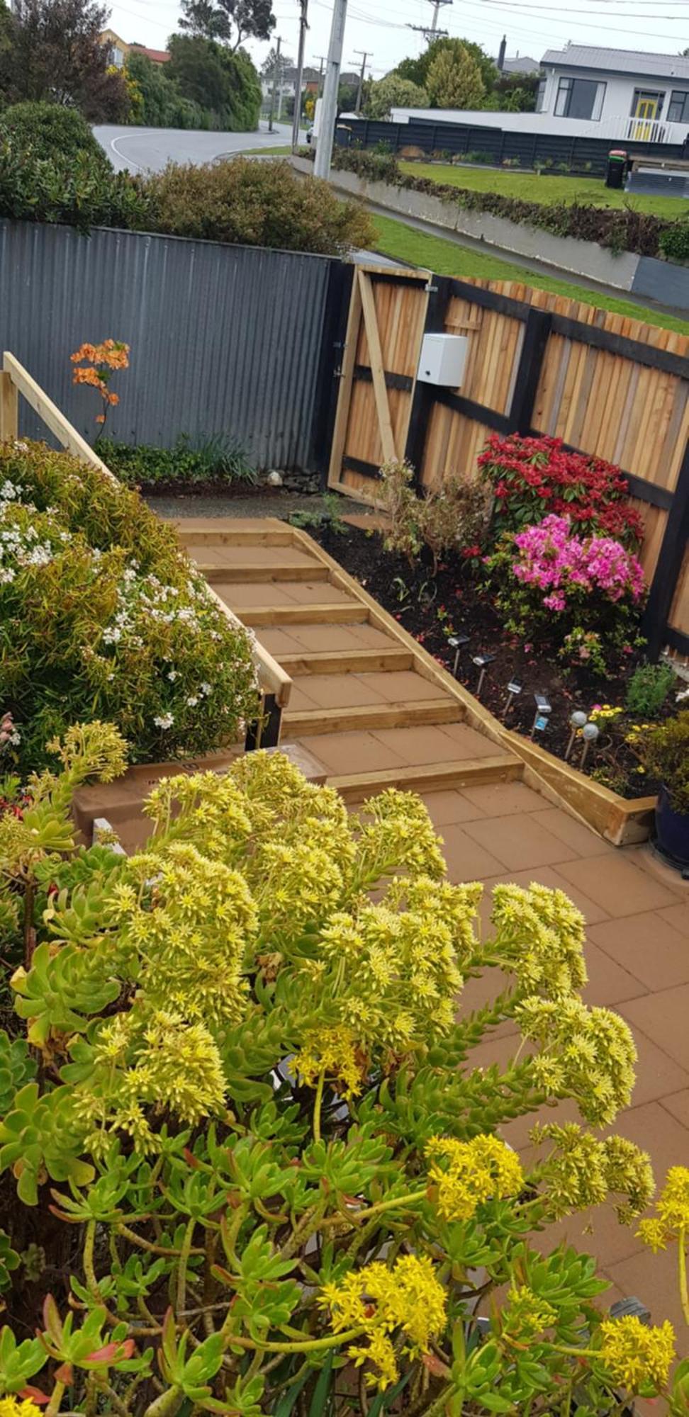 Rosemount B&B By The Sea St Clair Dunedin Ngoại thất bức ảnh
