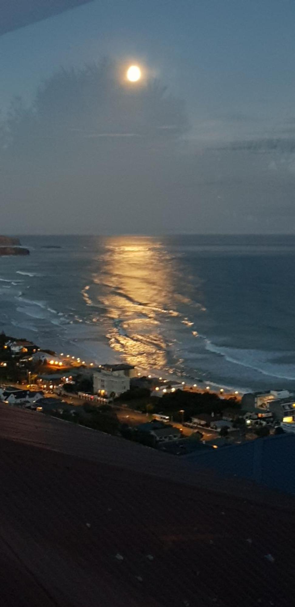 Rosemount B&B By The Sea St Clair Dunedin Ngoại thất bức ảnh