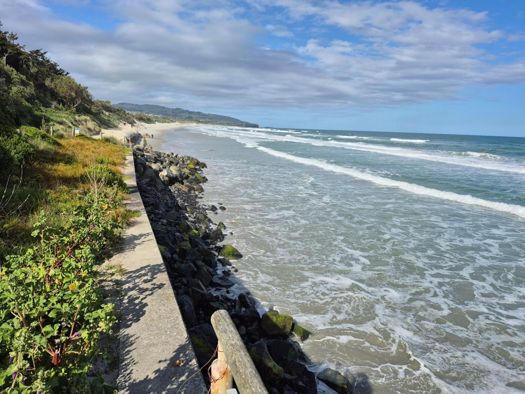 Rosemount B&B By The Sea St Clair Dunedin Ngoại thất bức ảnh