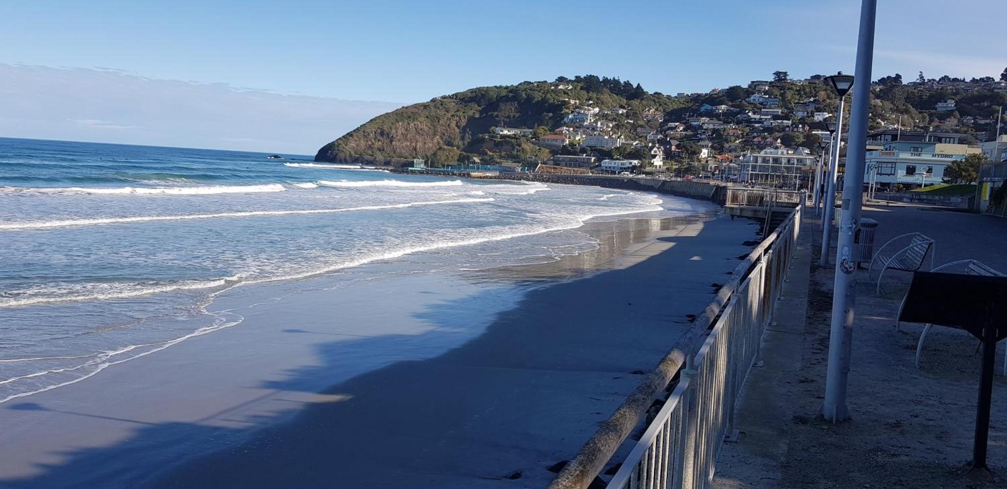 Rosemount B&B By The Sea St Clair Dunedin Ngoại thất bức ảnh